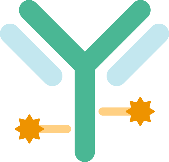 Antibody drug conjugate icon
