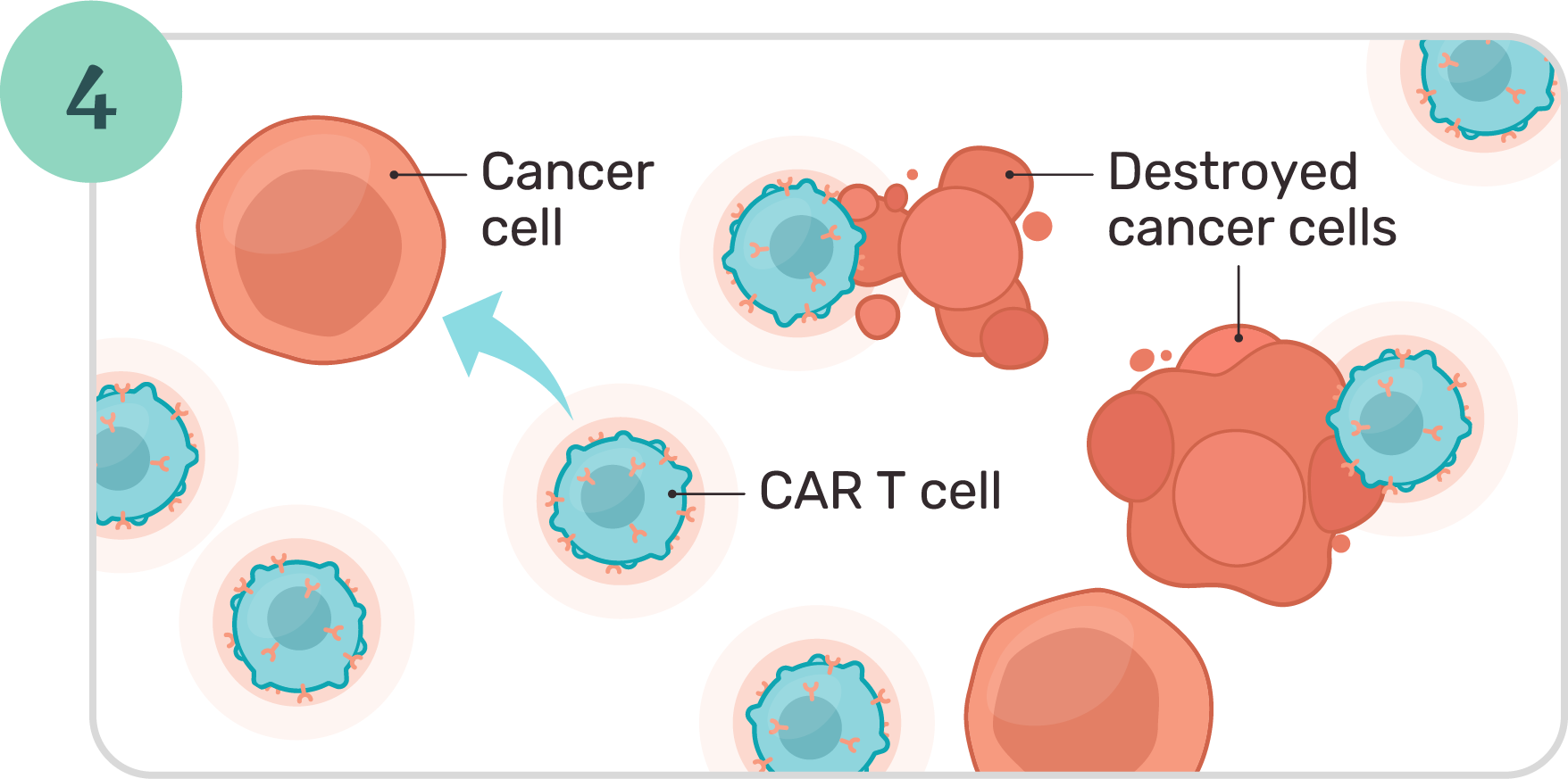 Illustration of CAR T cells finding and fighting cancer cells.