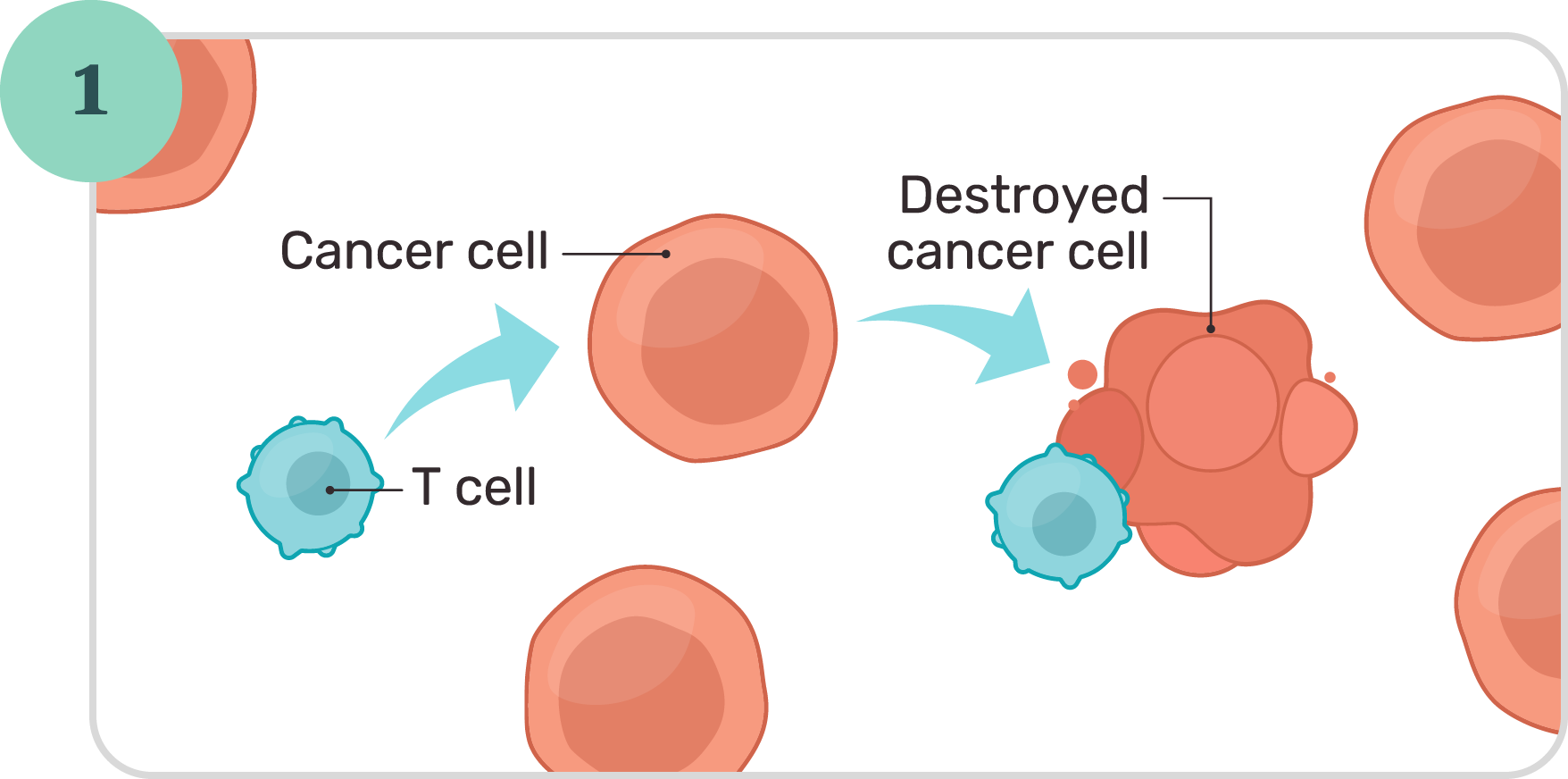 What is CAR T-cell therapy? | Let’s Chat CAR T
